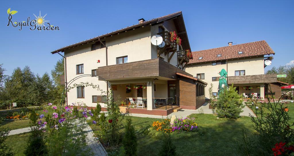Hotel Pensiunea Royal Garden Sîmbăta de Sus Zewnętrze zdjęcie