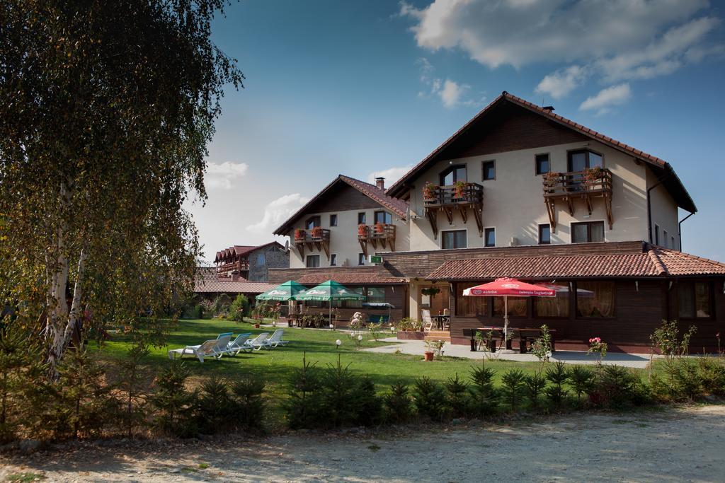 Hotel Pensiunea Royal Garden Sîmbăta de Sus Zewnętrze zdjęcie