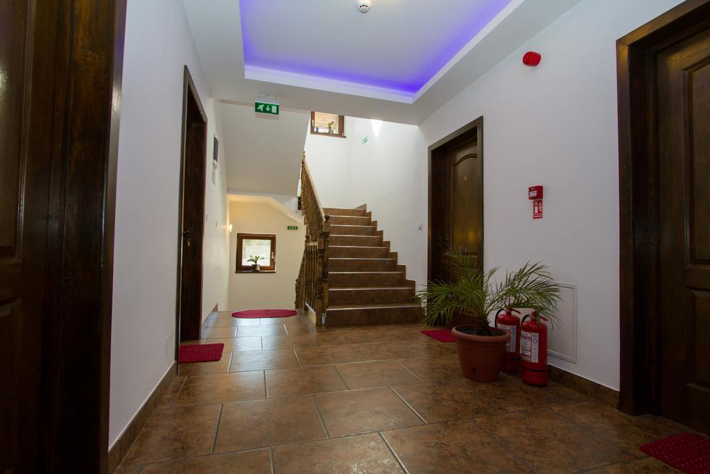 Hotel Pensiunea Royal Garden Sîmbăta de Sus Zewnętrze zdjęcie